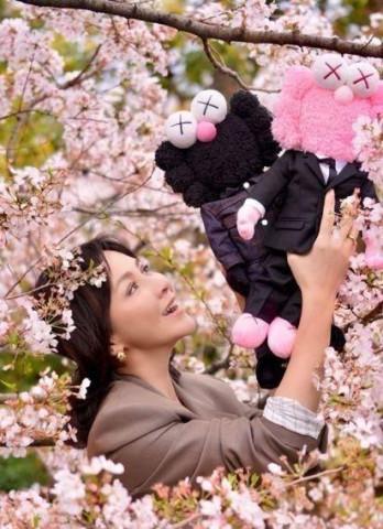 太阳花幼苗不移栽可以吗？游戏画面