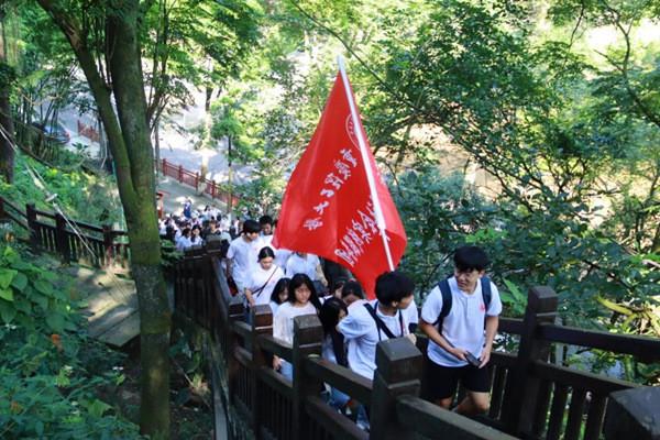 琴覆天下